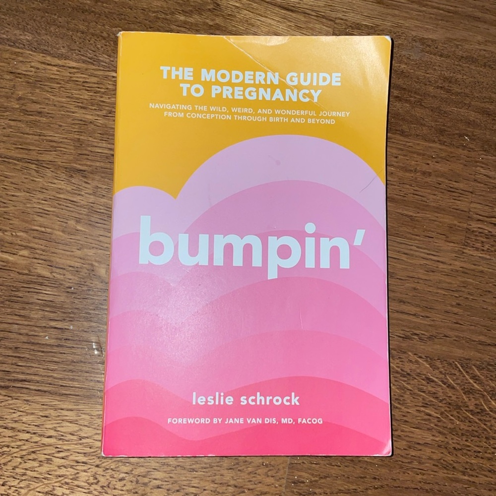 The Modern Guide to Pregnancy by Leslie Schrock